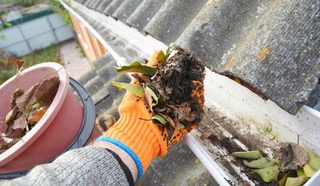 cleaning your gutters